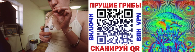 Купить закладки  Холм  Галлюциногенные грибы Psilocybe 